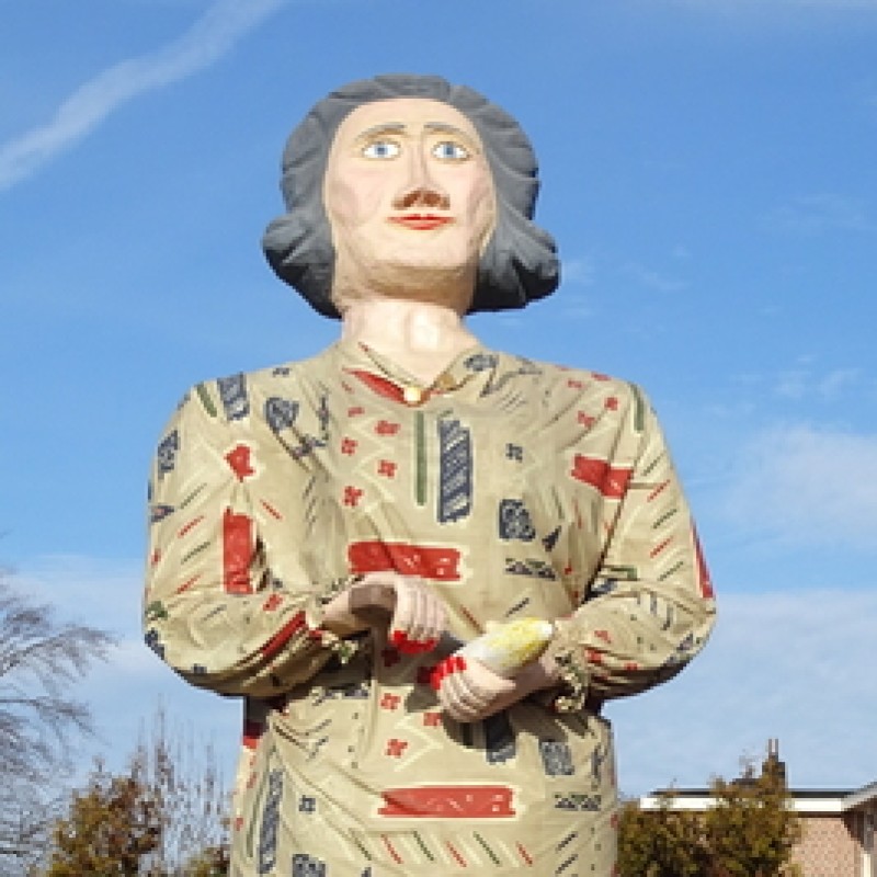 Wiske Witloof (9) - Heemkring Ter Ham Steenokkerzeel 